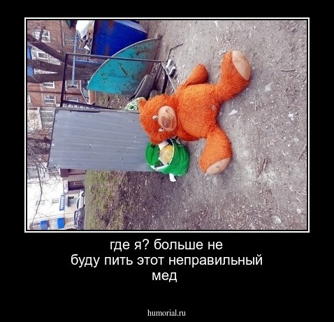 где я? больше не буду пить этот неправильный мед