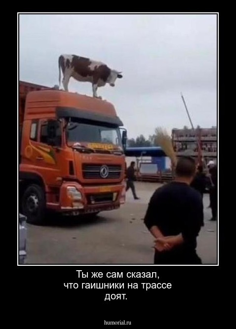 Ты же сам сказал, что гаишники на трассе доят.