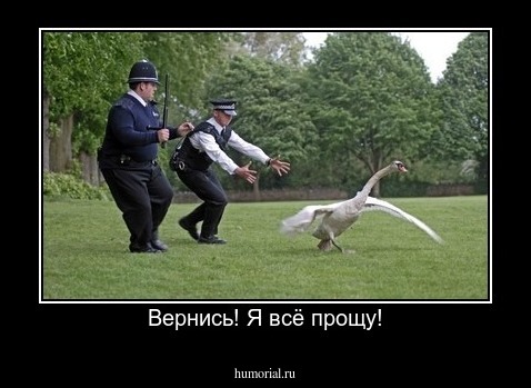 Вернись! Я всё прощу!