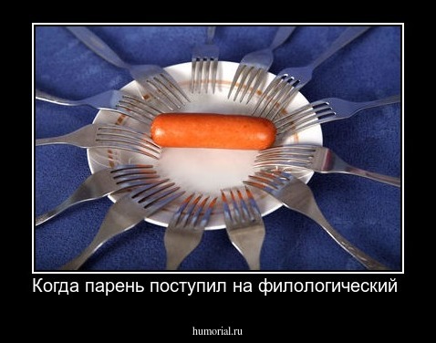 Когда парень поступил на филологический 