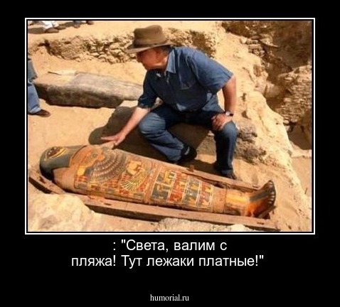  : "Света, валим с пляжа! Тут лежаки платные!"
