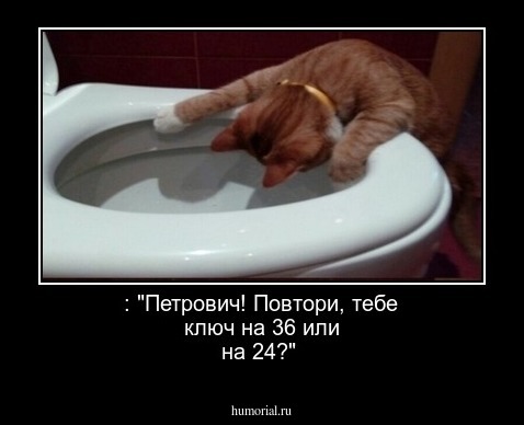  : "Петрович! Повтори, тебе ключ на 36 или на 24?"