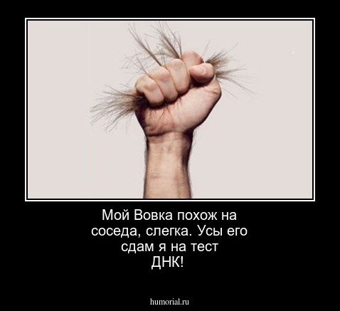  Мой Вовка похож на соседа, слегка. Усы его сдам я на тест ДНК!
