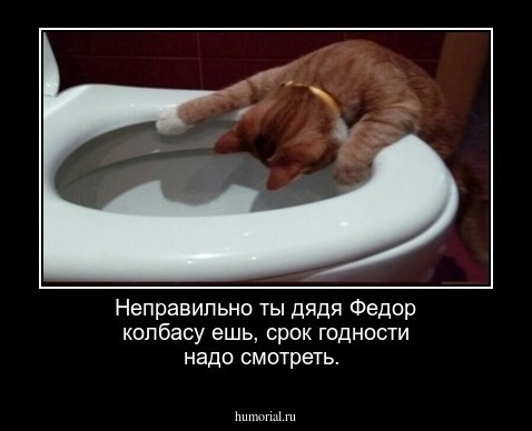 Неправильно ты дядя Федор колбасу ешь, срок годности надо смотреть.