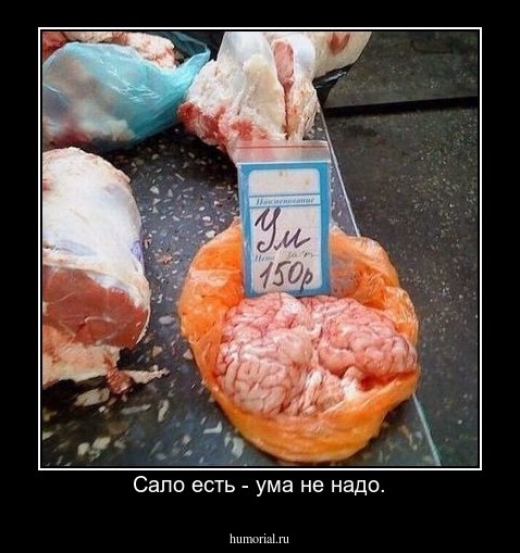 Сало есть - ума не надо.