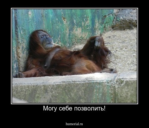 Могу себе позволить!