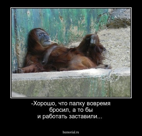-Хорошо, что палку вовремя бросил, а то бы и работать заставили...