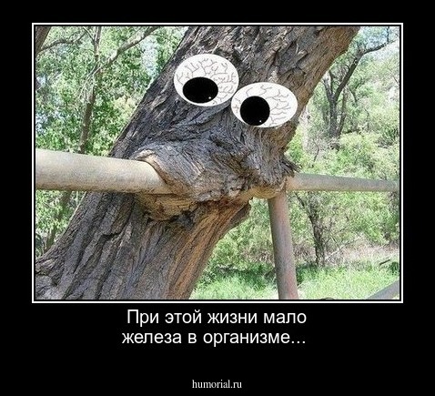 При этой жизни мало железа в организме...