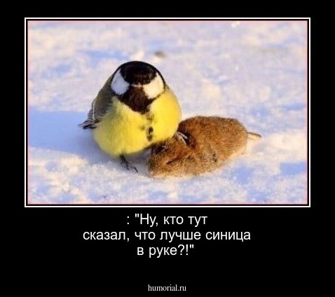  : "Ну, кто тут сказал, что лучше синица в руке?!"