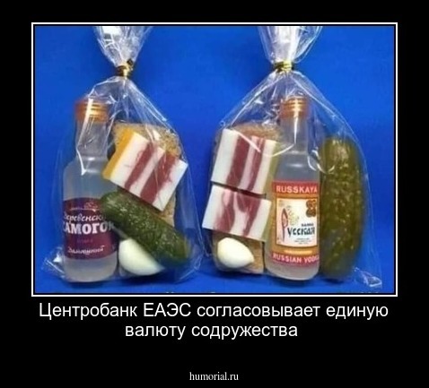 Центробанк ЕАЭС согласовывает единую валюту содружества