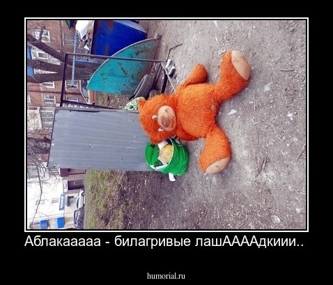 Аблакааааа - билагривые лашААААдкиии.. 