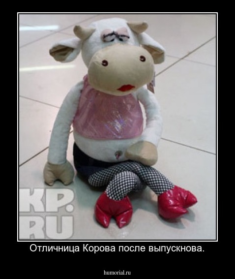  Отличница Корова после выпускнова.
