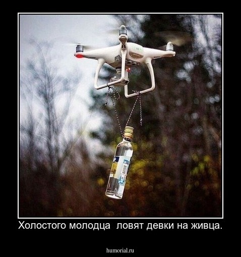 Холостого молодца  ловят девки на живца.