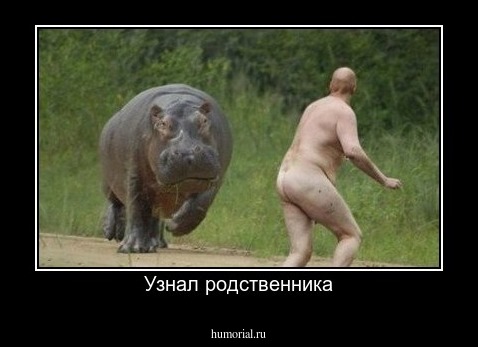 Узнал родственника