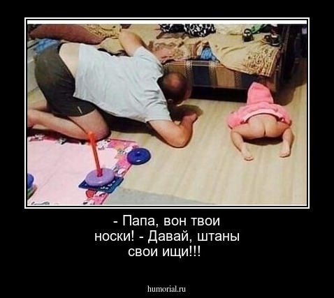 - Папа, вон твои носки! - Давай, штаны свои ищи!!!
