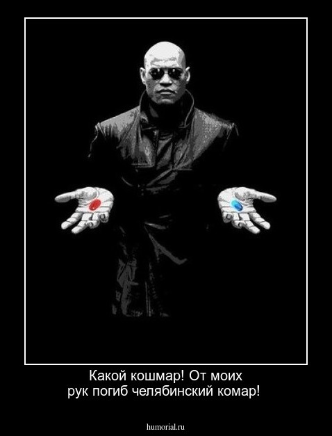 Какой кошмар! От моих рук погиб челябинский комар!