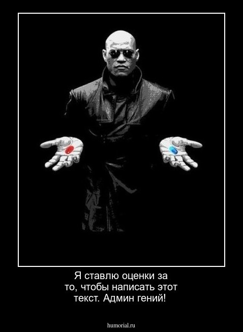 Я ставлю оценки за то, чтобы написать этот текст. Админ гений!