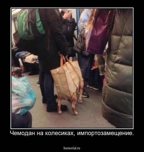 Чемодан на колесиках, импортозамещение.
