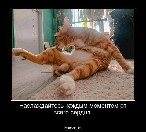 Наслаждайтесь каждым моментом от всего сердца