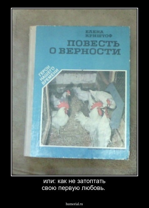  или: как  не затоптать свою первую любовь.