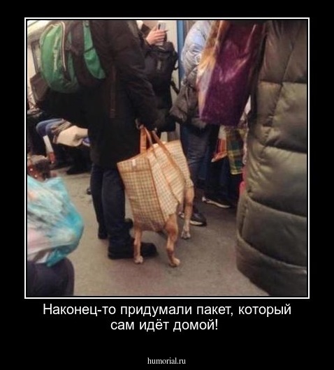 Наконец-то придумали пакет, который сам идёт домой!