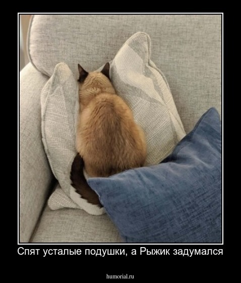 Спят усталые подушки, а Рыжик задумался