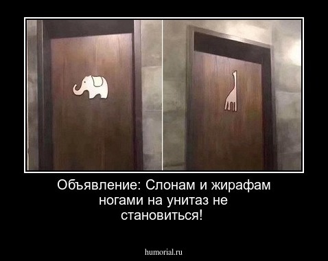  Объявление: Слонам и жирафам ногами на унитаз не становиться!