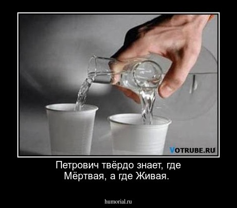  Петрович твёрдо знает, где Мёртвая, а где Живая.