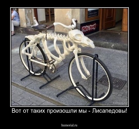 Вот от таких произошли мы - Лисапедовы!