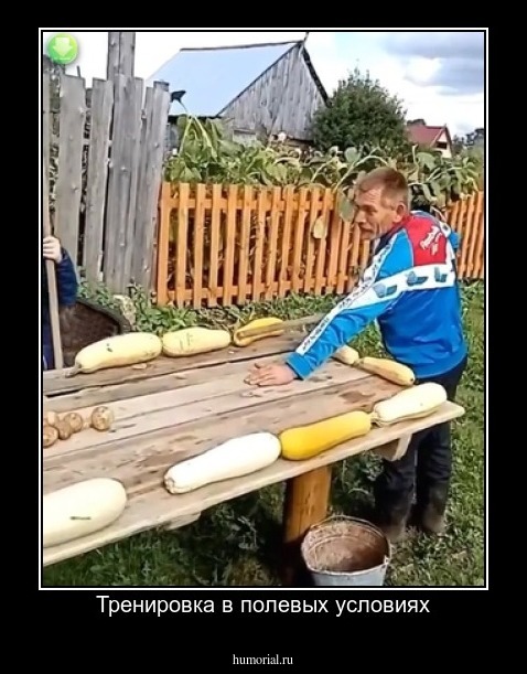 Тренировка в полевых условиях