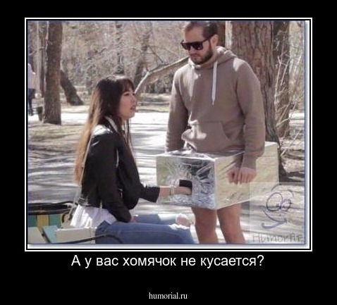 А у вас хомячок не кусается?