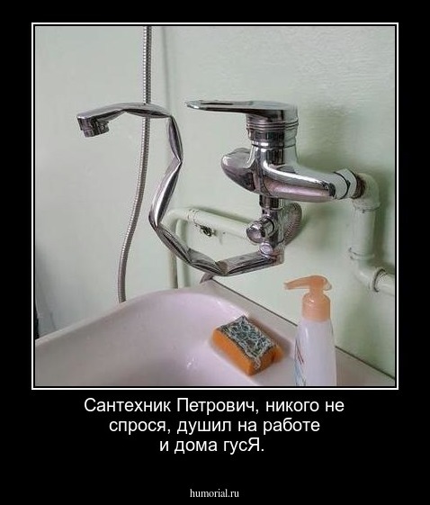 Сантехник Петрович, никого не спрося,  душил на работе и дома гусЯ. 