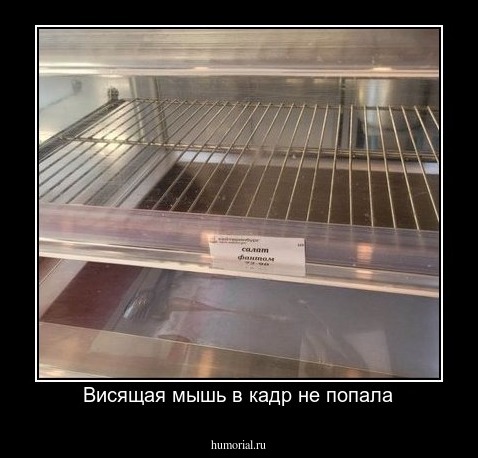 Висящая мышь в кадр не попала