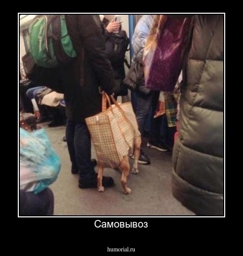 Самовывоз