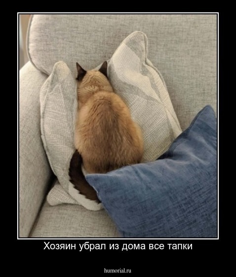Хозяин убрал из дома все тапки