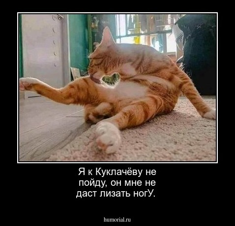 Я к Куклачёву не пойду, он мне не даст лизать ногУ.