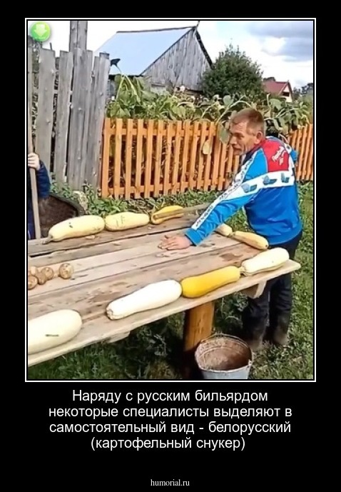 Наряду с русским бильярдом некоторые специалисты выделяют в самостоятельный вид - белорусский (картофельный снукер)