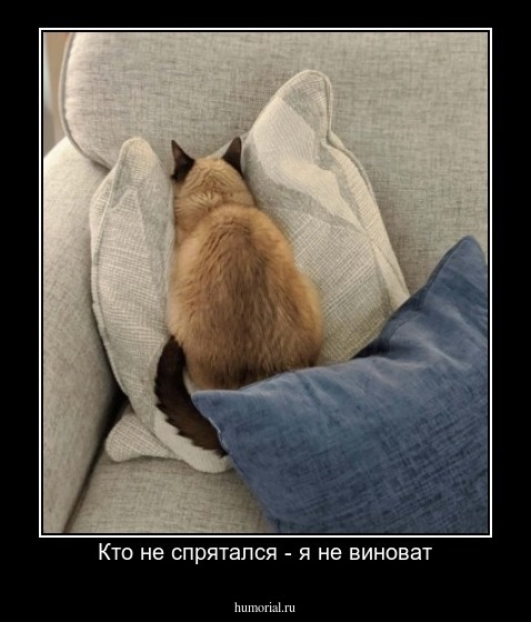 Кто не спрятался - я не виноват