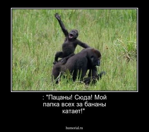  : "Пацаны! Сюда! Мой папка всех за бананы катает!"