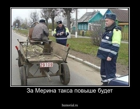 За Мерина такса повыше будет
