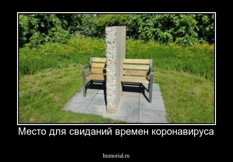 Место для свиданий времен коронавируса