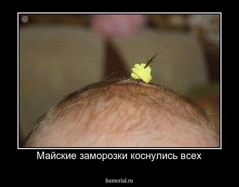 Майские заморозки коснулись всех