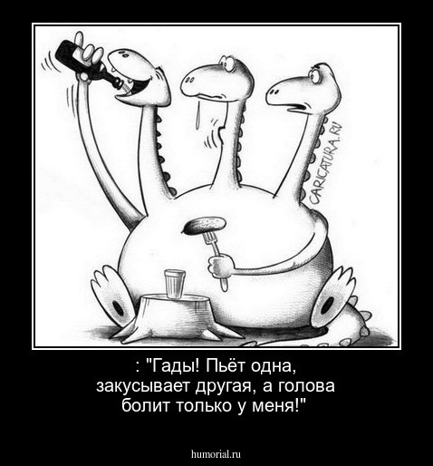  : "Гады! Пьёт одна, закусывает другая, а голова болит только у меня!"