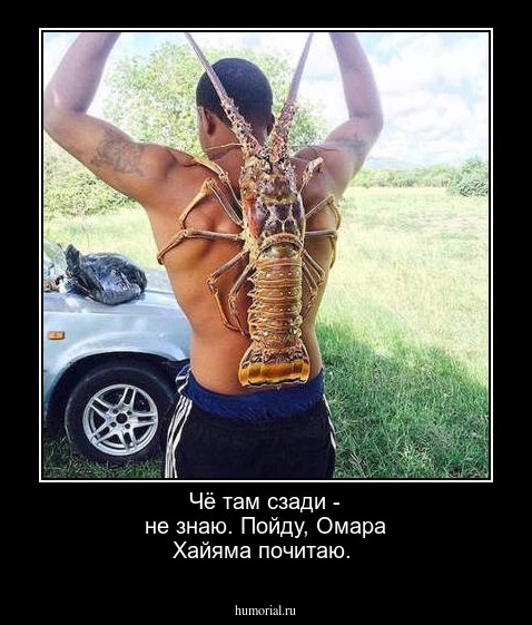  Чё там сзади - не знаю. Пойду, Омара Хайяма почитаю.