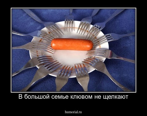 В большой семье клювом не щелкают