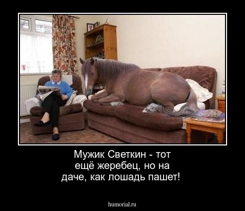 Мужик Светкин - тот ещё жеребец, но на даче, как лошадь пашет!