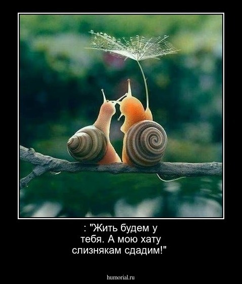  : "Жить будем у тебя. А мою хату слизнякам сдадим!"