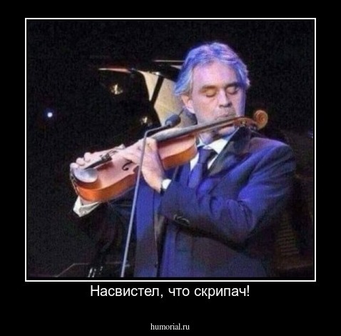 Насвистел, что скрипач!
