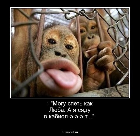  : "Могу спеть  как Люба. А я сяду в кабиол-э-э-э-т..."