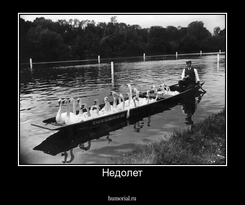 Недолет